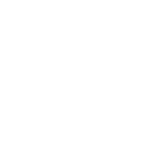 medical records chronologist