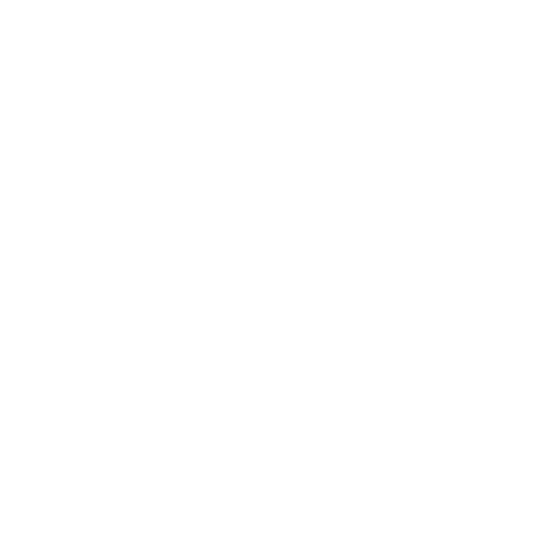 medical chronology summary