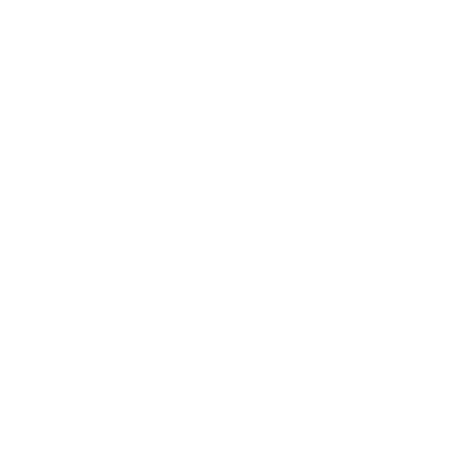 medical records chronology